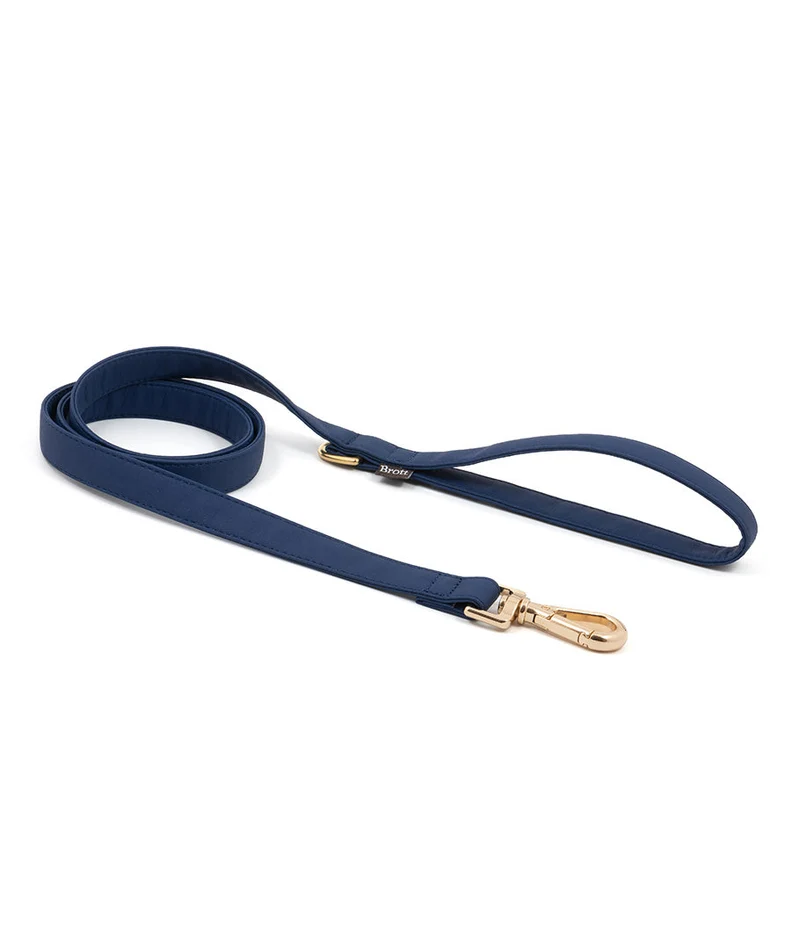 Correa perro Essence Space Blue gold