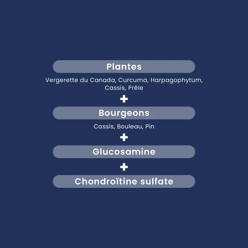 Myostéo Confort Articulaire - 20 ampoules