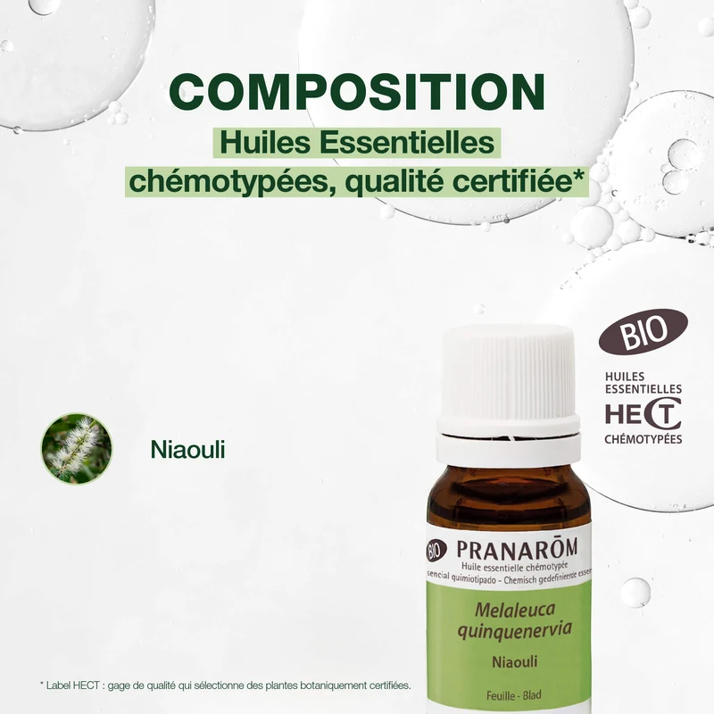 Huile Essentielle de Niaouli - Bio