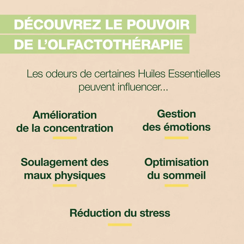 Roll-on Focus - Bio