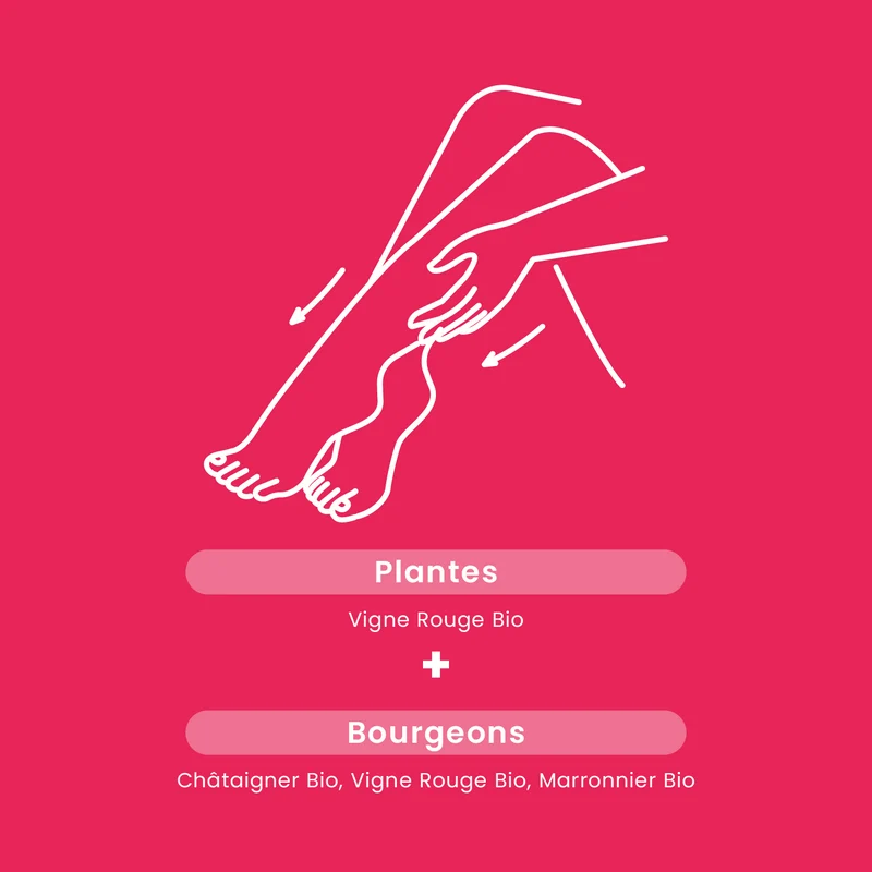 Vigne Rouge Bio - 20 ampoules