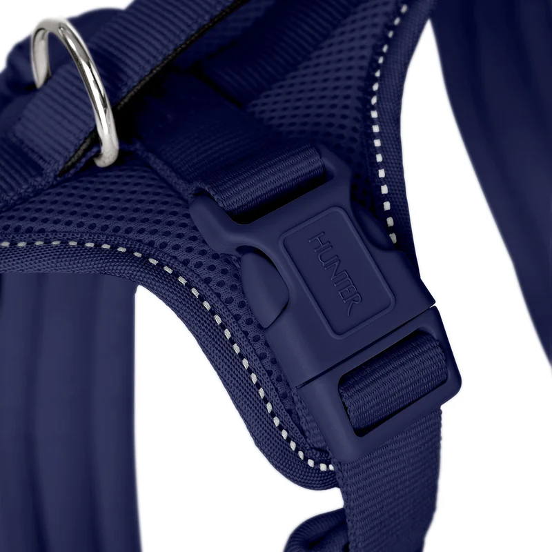 Geschirr Maldon Up Limited Edition