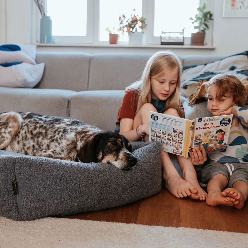 Hundesofa Kumara