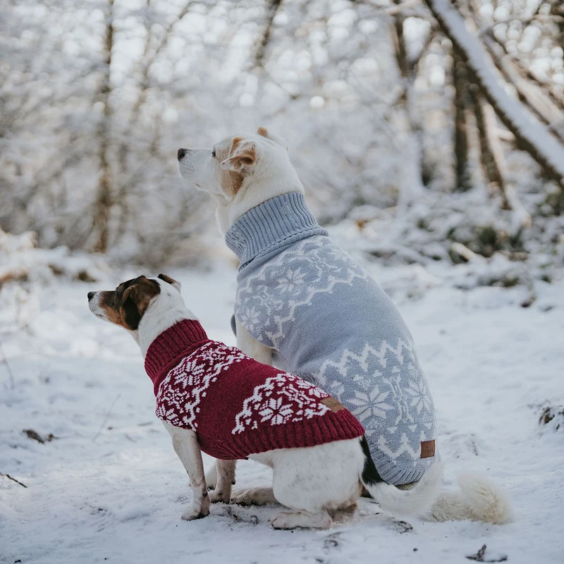 Hundepullover Birka