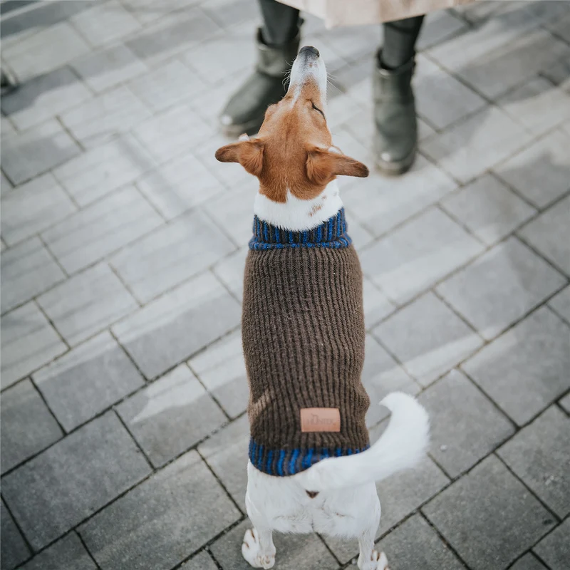 Hundepullover Odense mit Mütze (Set)