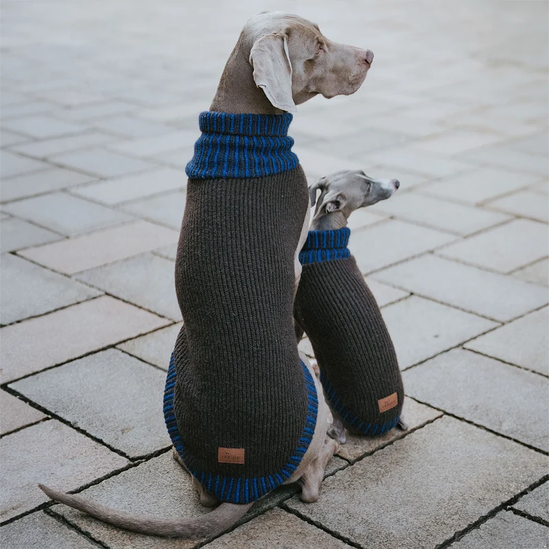 Hundepullover Odense mit Mütze (Set)