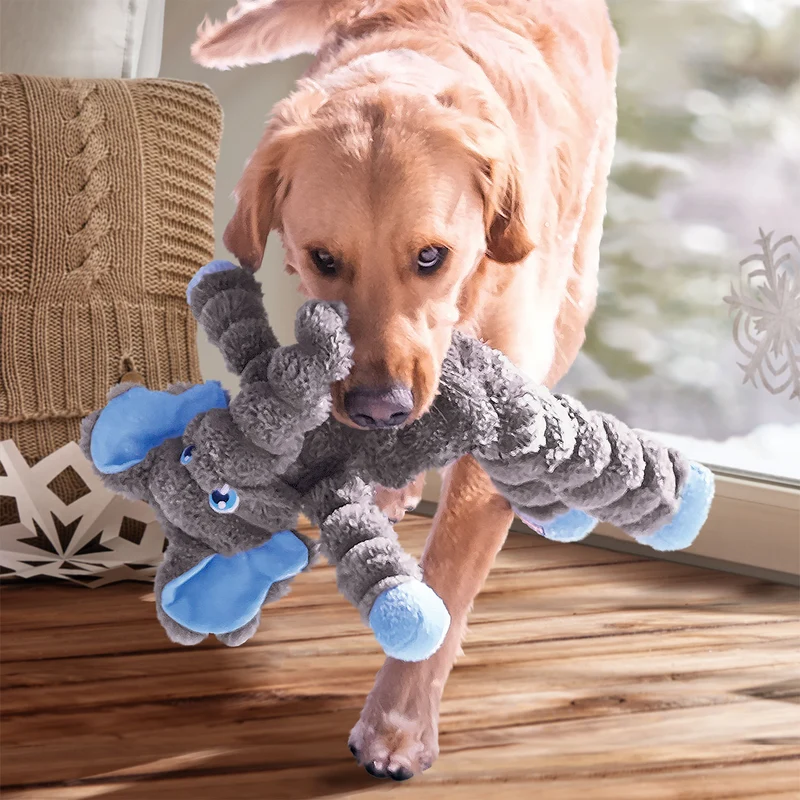 Hundespielzeug KONG® Shakers™ Crumples