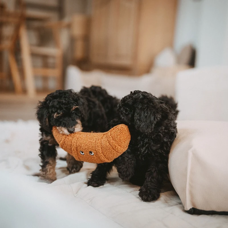 Hundespielzeug Belem