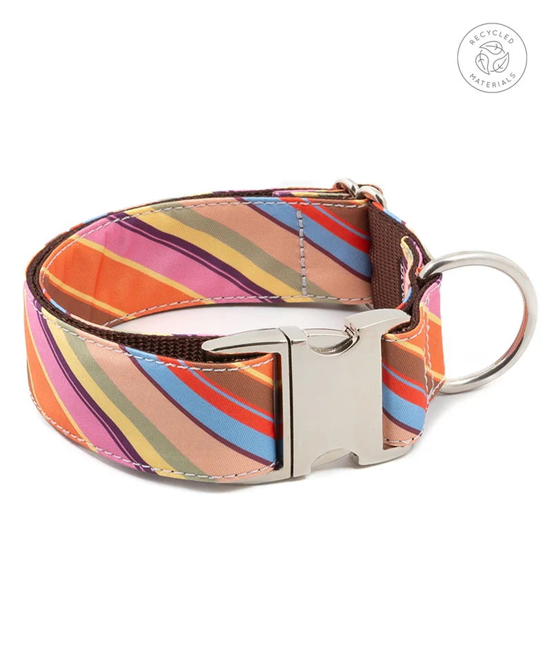 Collar para perro Alcanar