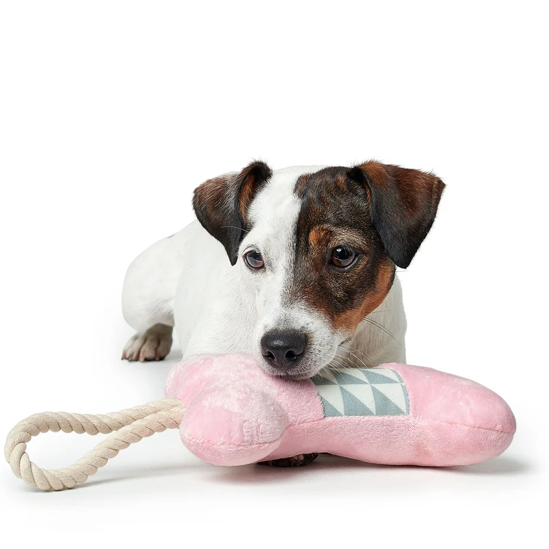 Hundespielzeug Salima