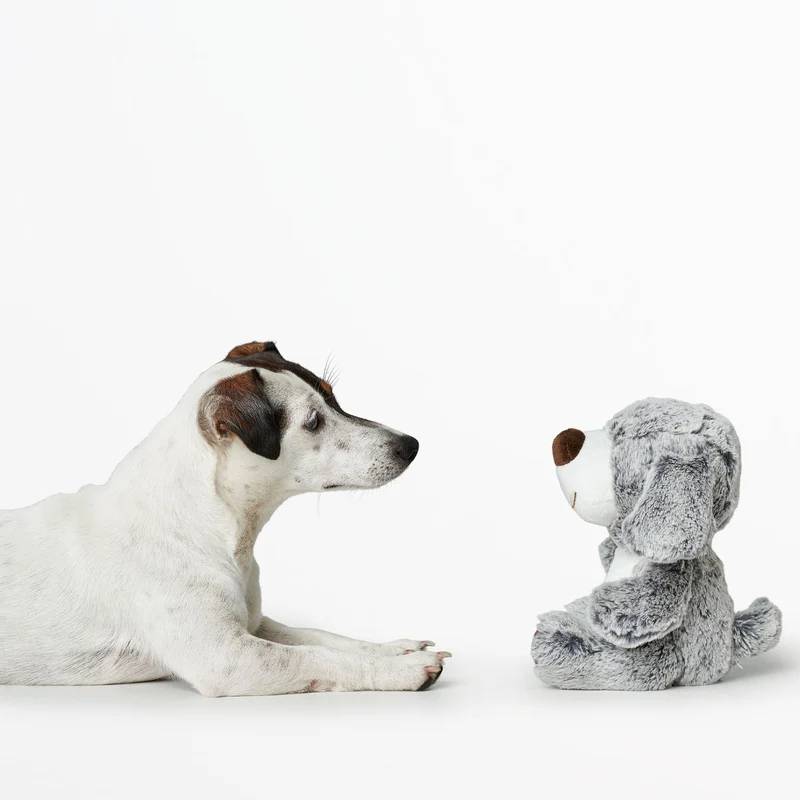 Hundespielzeug Faro