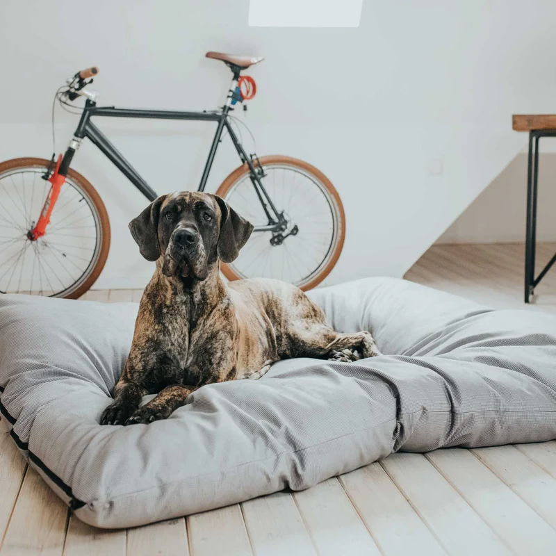 Hundebett Lancaster