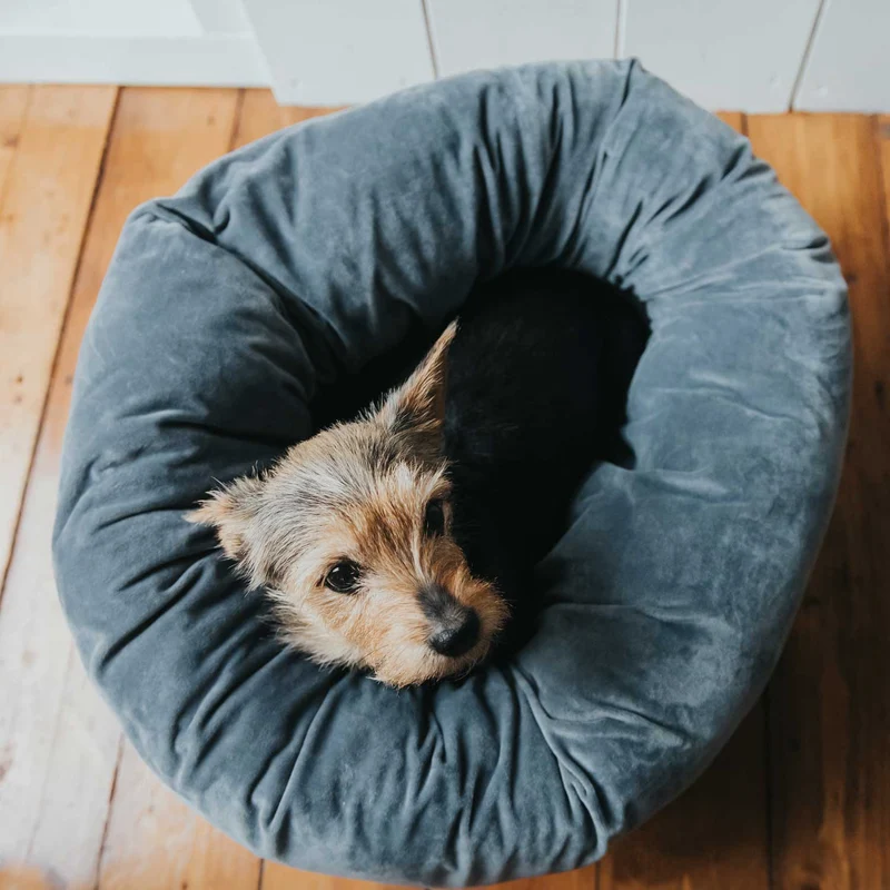 Hundebett Donut Miranda