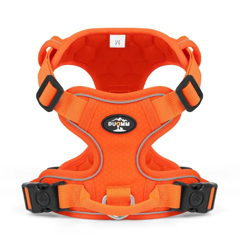 Harnais de voiture pour petit chien