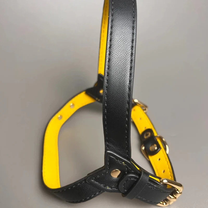 Harnais cuir pour chien en y
