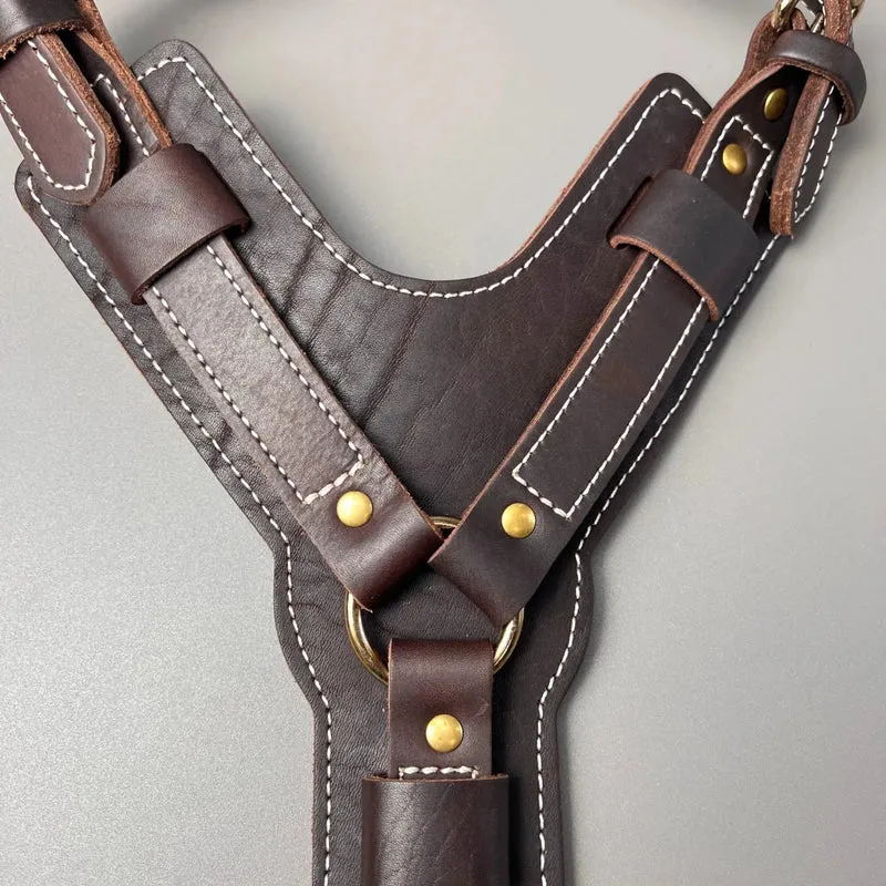 Harnais cuir chien en y