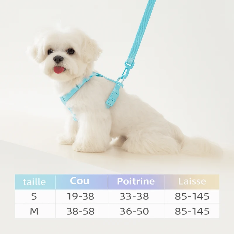 Harnais chien chiot