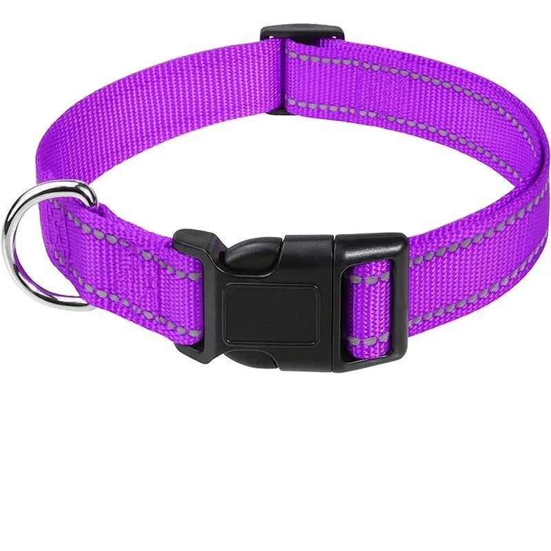 Collier chiot femelle
