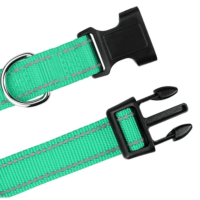 Collier chiot femelle