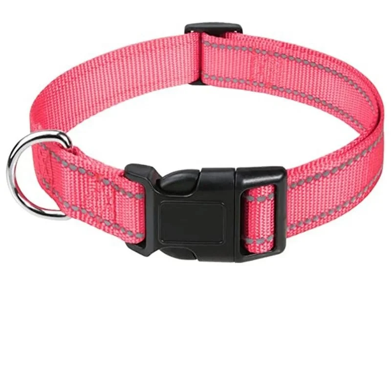 Collier chiot femelle