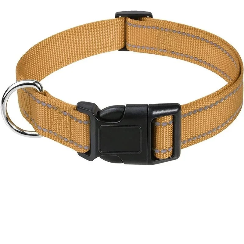 Collier chiot femelle