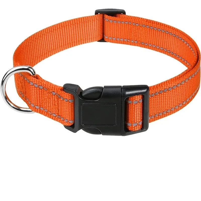 Collier chiot femelle