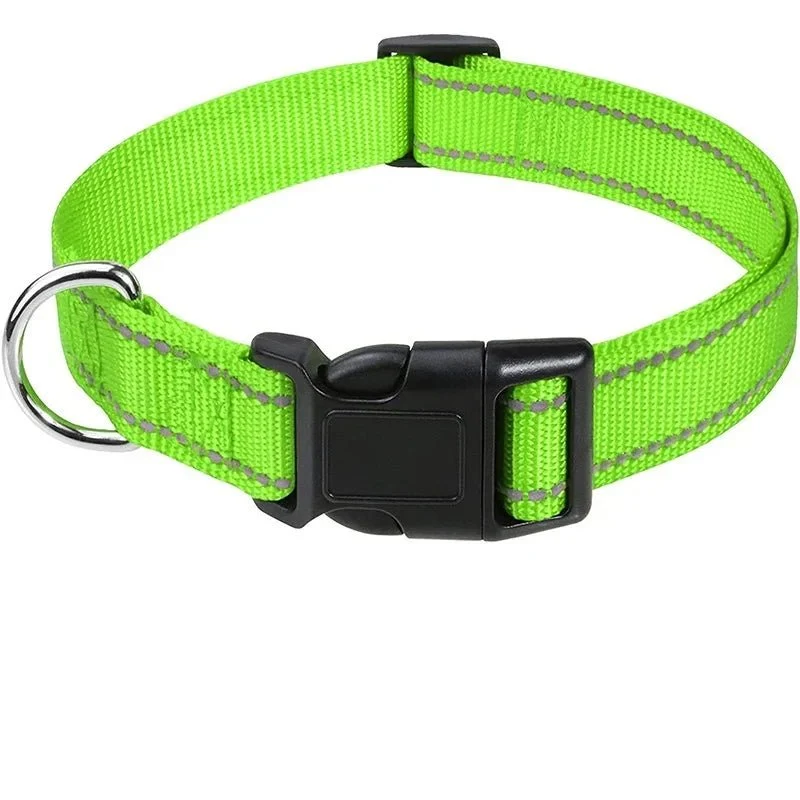 Collier chiot femelle