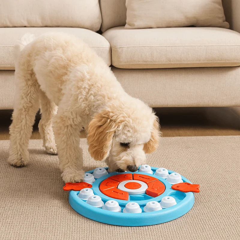 Puzzle interactif pour chien
