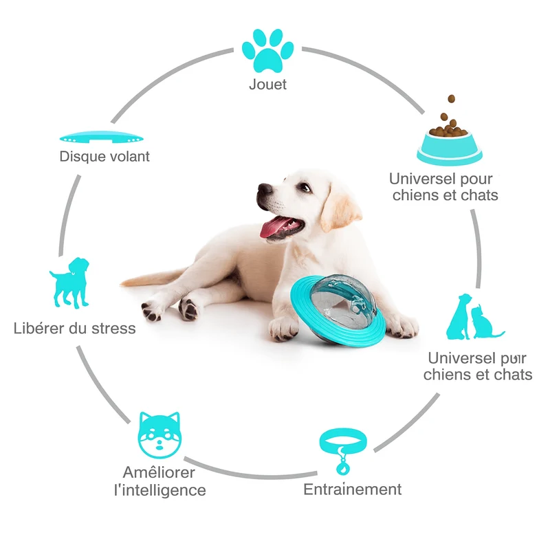 Jouet interactif à croquette pour chien