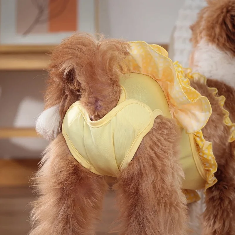 Culotte robe pour chien