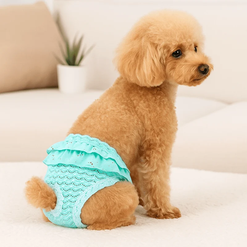 Culotte pour petit chien