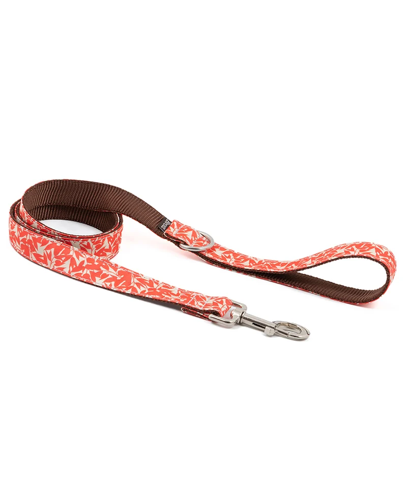 Collar para perro Borges