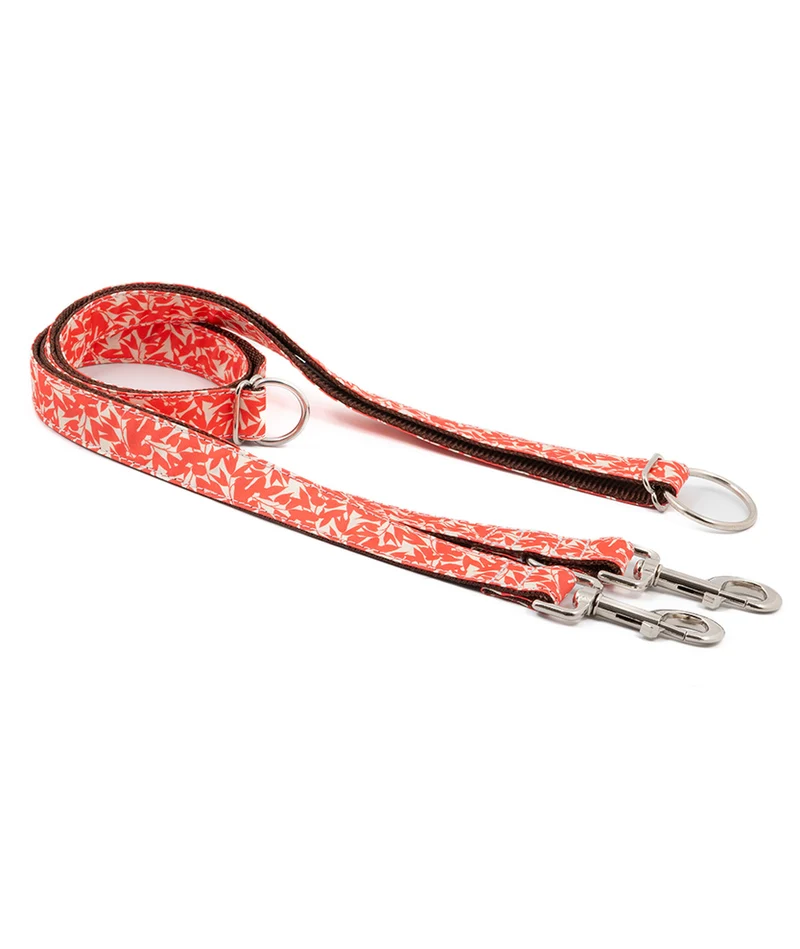 Collar para perro Borges
