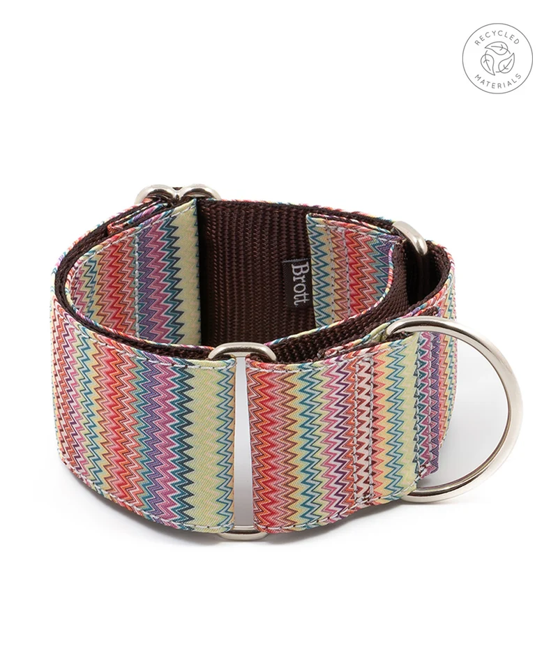 Collar para Galgo Llavaneres