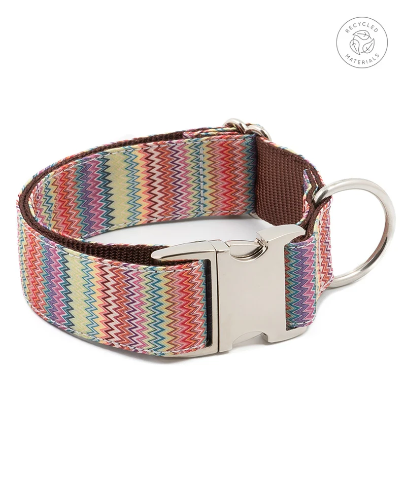 Collar para perro Llavaneres