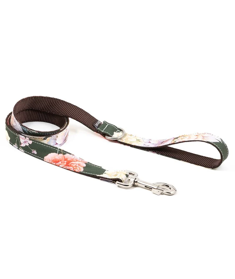 Correa para perro Espelt