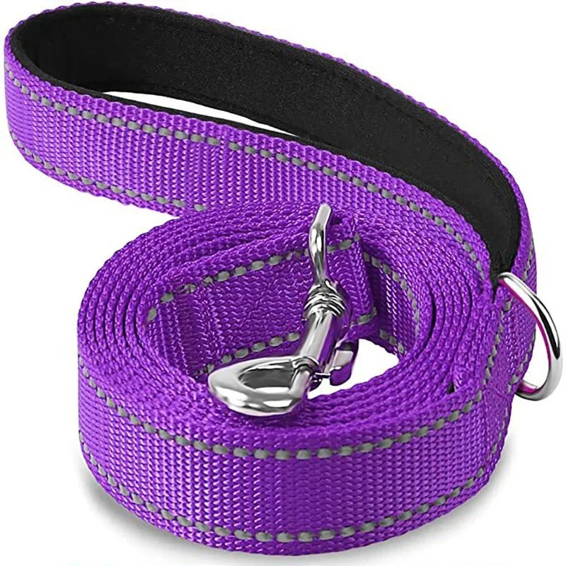 Laisse pour chien spitz nain