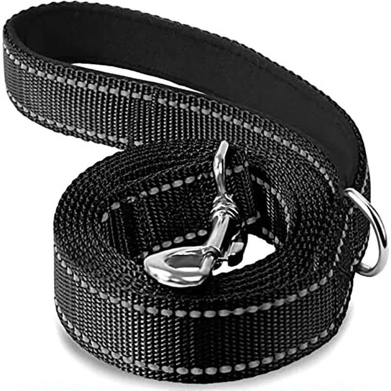 Laisse pour chien spitz nain