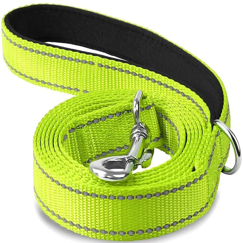 Laisse pour chien spitz nain