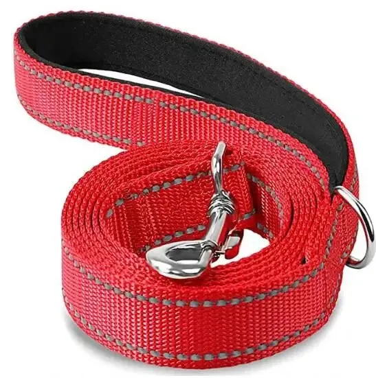 Laisse pour chien spitz nain