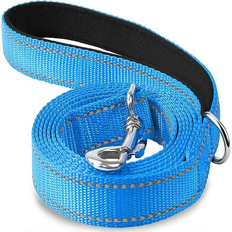 Laisse pour chien spitz nain
