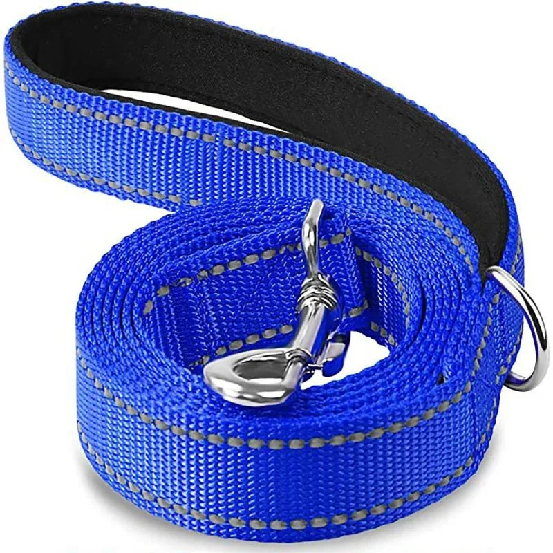 Laisse pour chien spitz nain