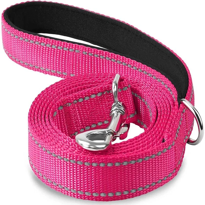 Laisse pour chien spitz nain