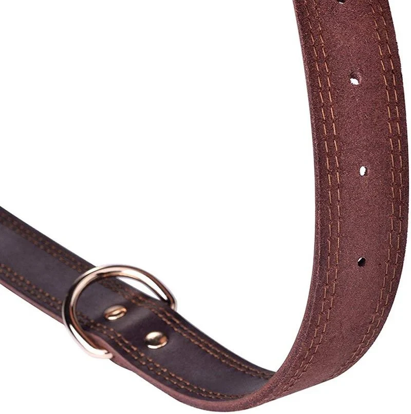 Collier chien cuir haut de gamme