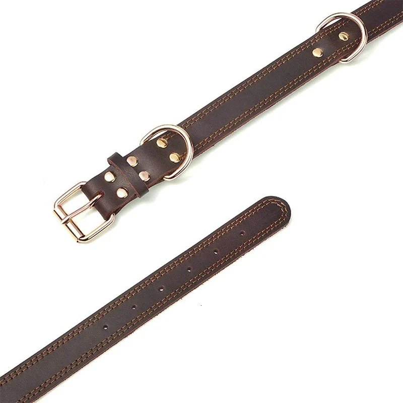 Collier chien cuir haut de gamme
