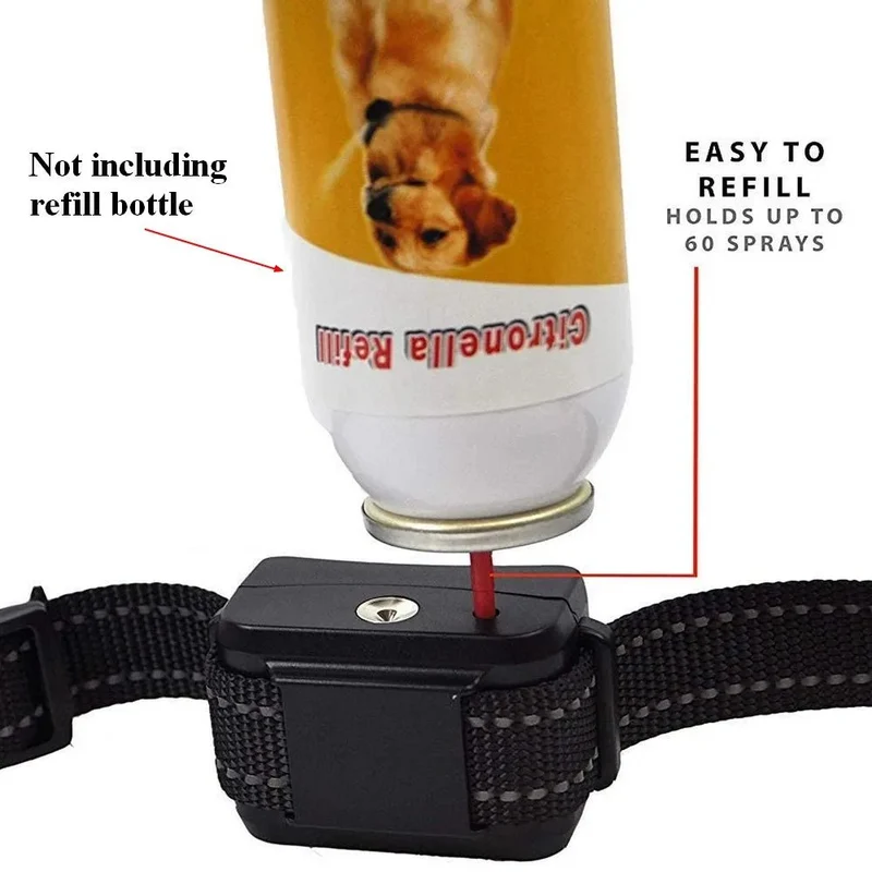 Collier anti aboiement a la citronnelle pour petit chien