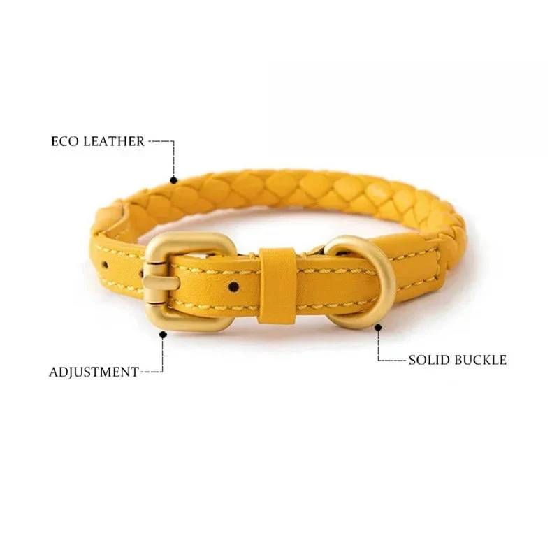 Collier chien cuir rond