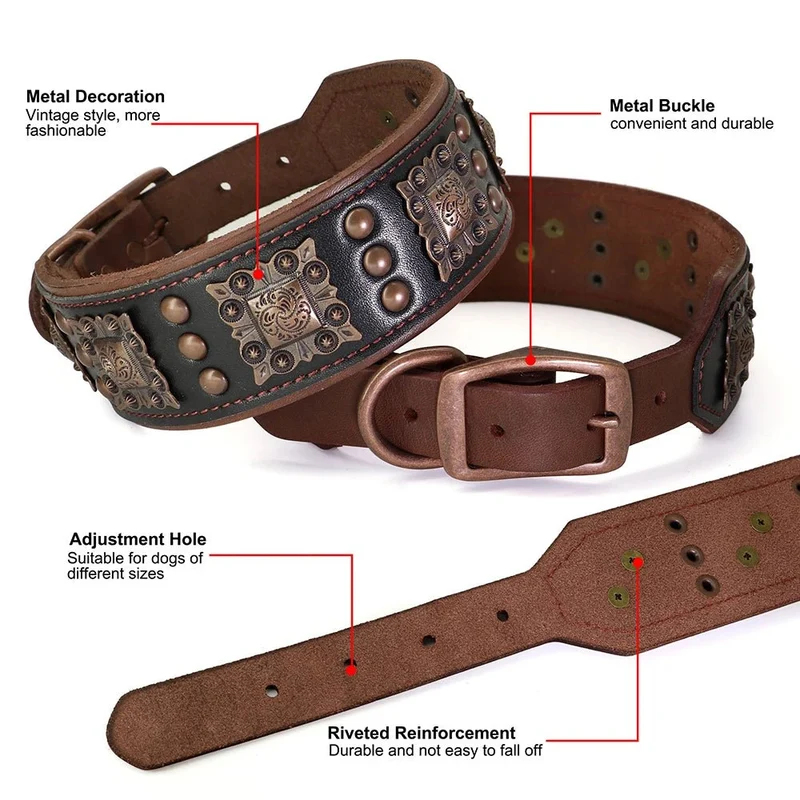Collier chien cuir large