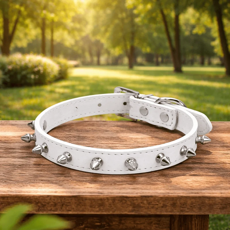 Collier chien cuir bleu