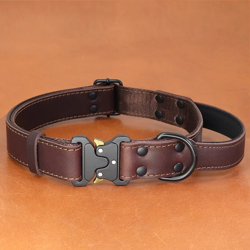 Collier cuir chien avec poignée